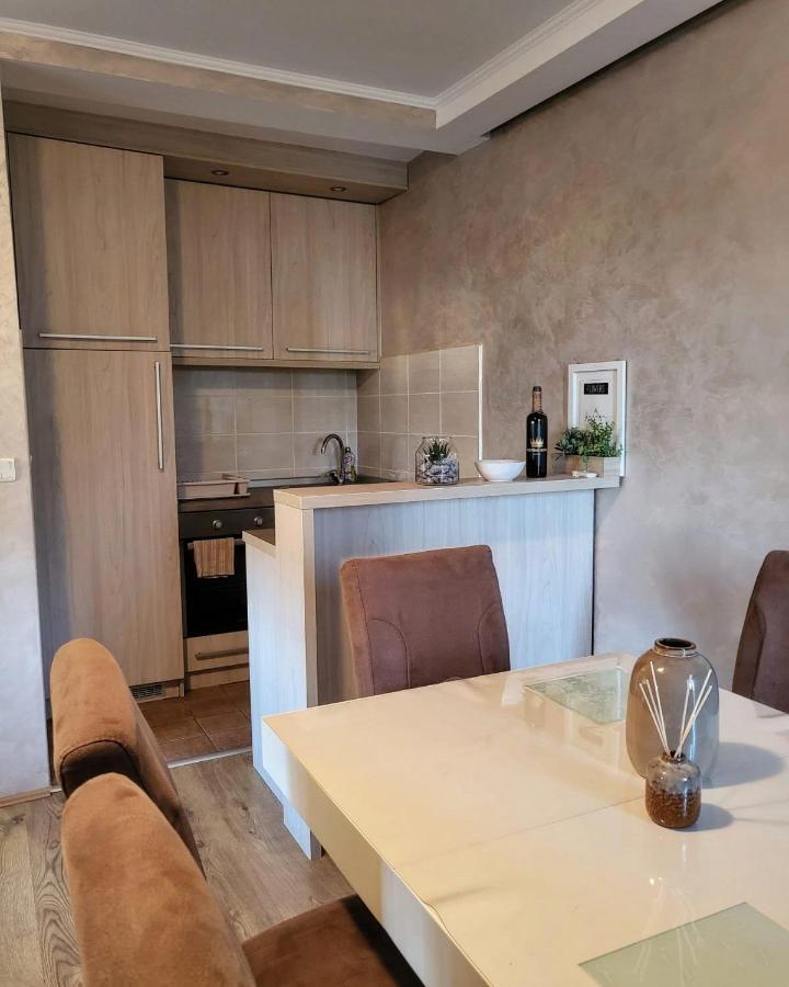 Apartman Crown Vrnjačka Banja Eksteriør billede