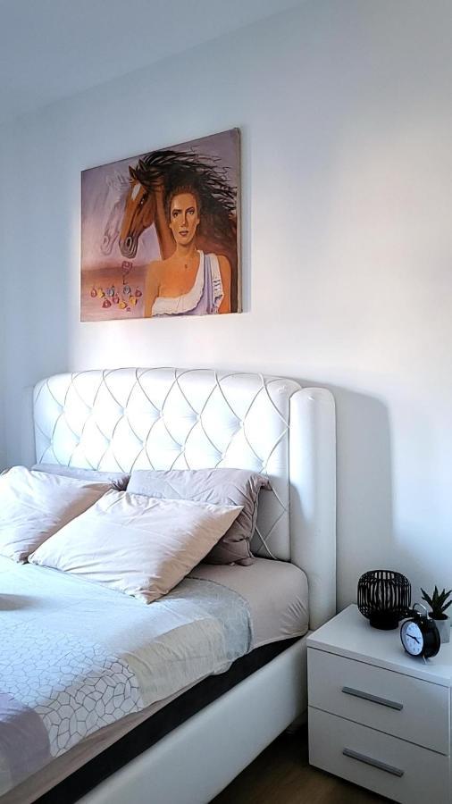 Apartman Crown Vrnjačka Banja Eksteriør billede